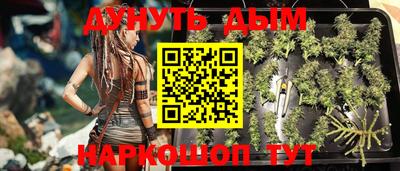 spice Бийск