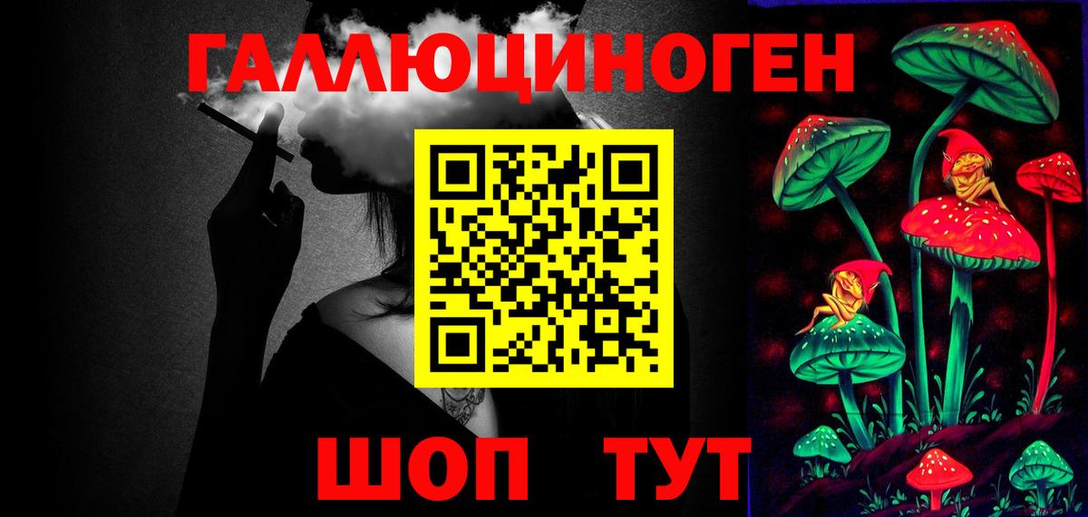 Псилоцибиновые грибы мицелий Кингисепп
